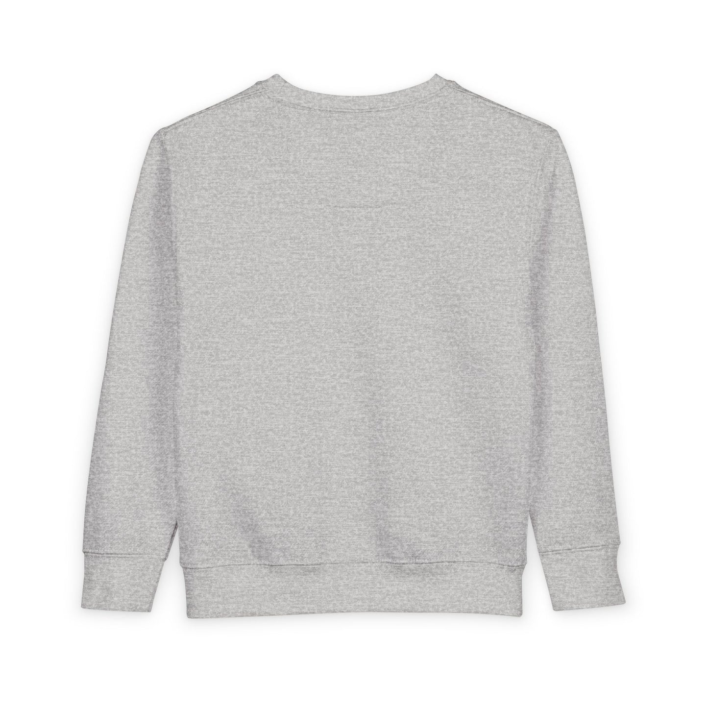 Girl Toddler Sweatshirt