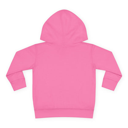 Toddler Boy Pullover Fleece Hoodie