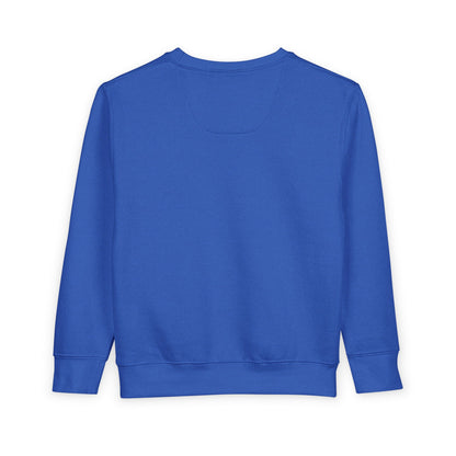 Girl Toddler Sweatshirt