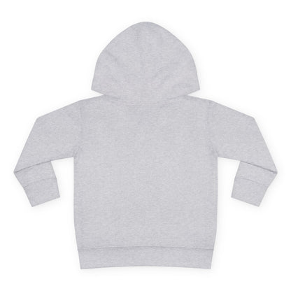 Toddler Boy Pullover Fleece Hoodie
