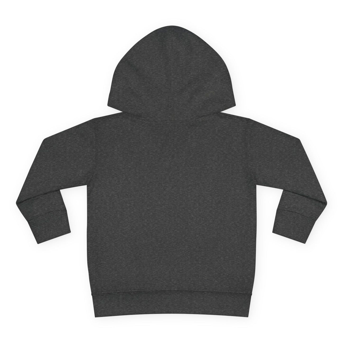 Toddler Boy Pullover Fleece Hoodie